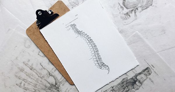 Почему развивается остеопороз